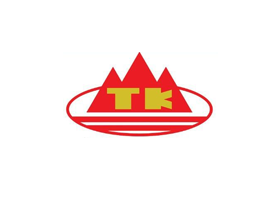山东泰开